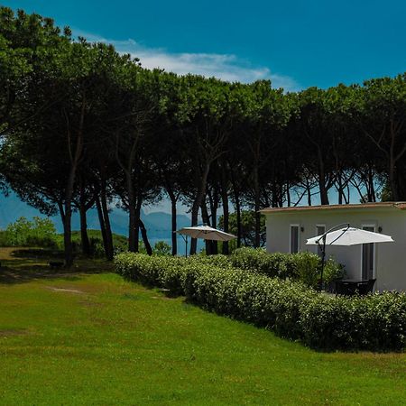 Bed and Breakfast Bosco Mattavona Boscotrecase Exterior foto