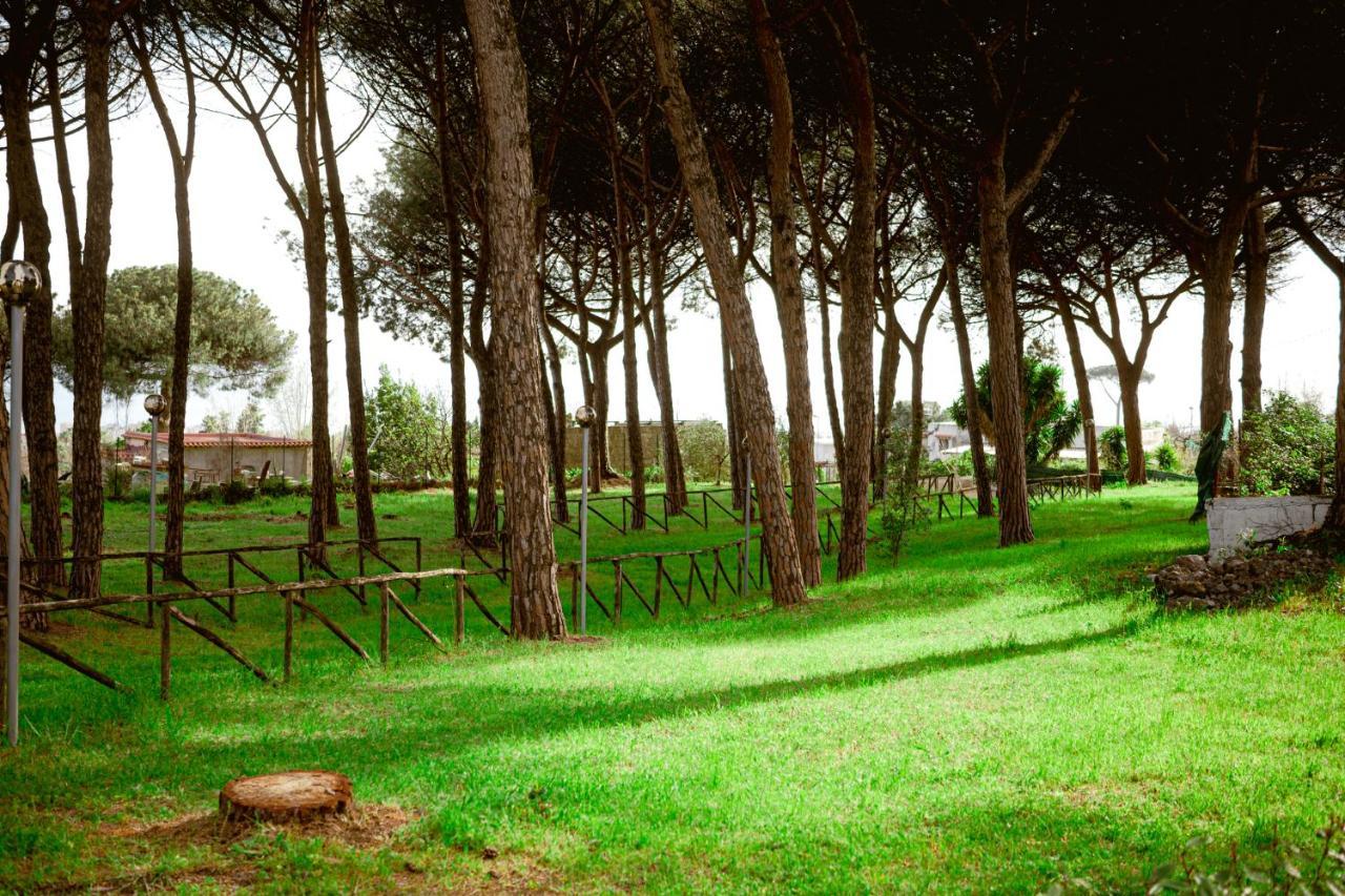 Bed and Breakfast Bosco Mattavona Boscotrecase Exterior foto