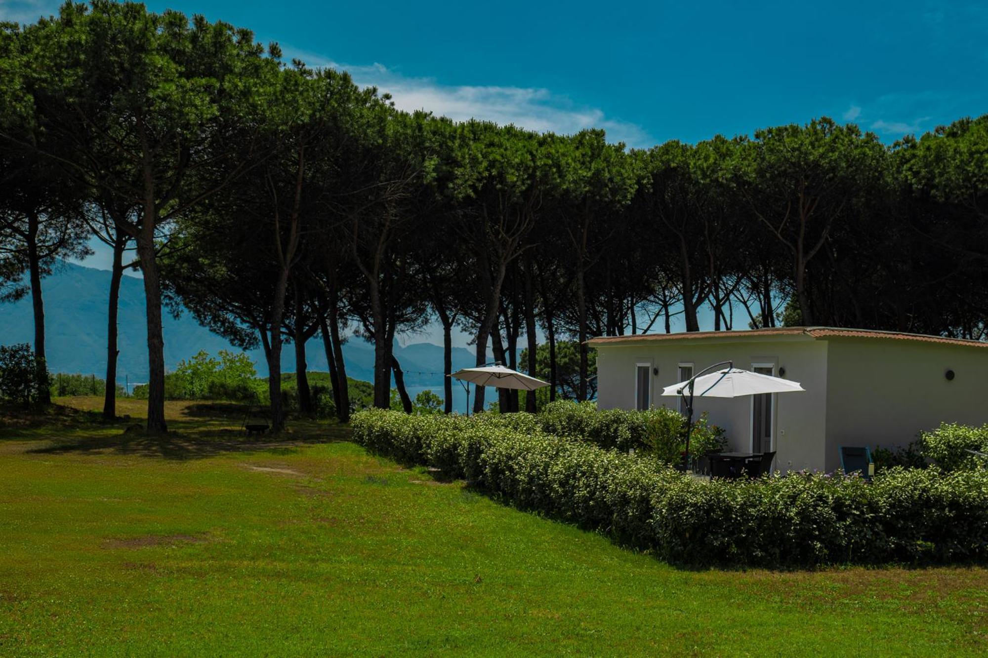 Bed and Breakfast Bosco Mattavona Boscotrecase Exterior foto