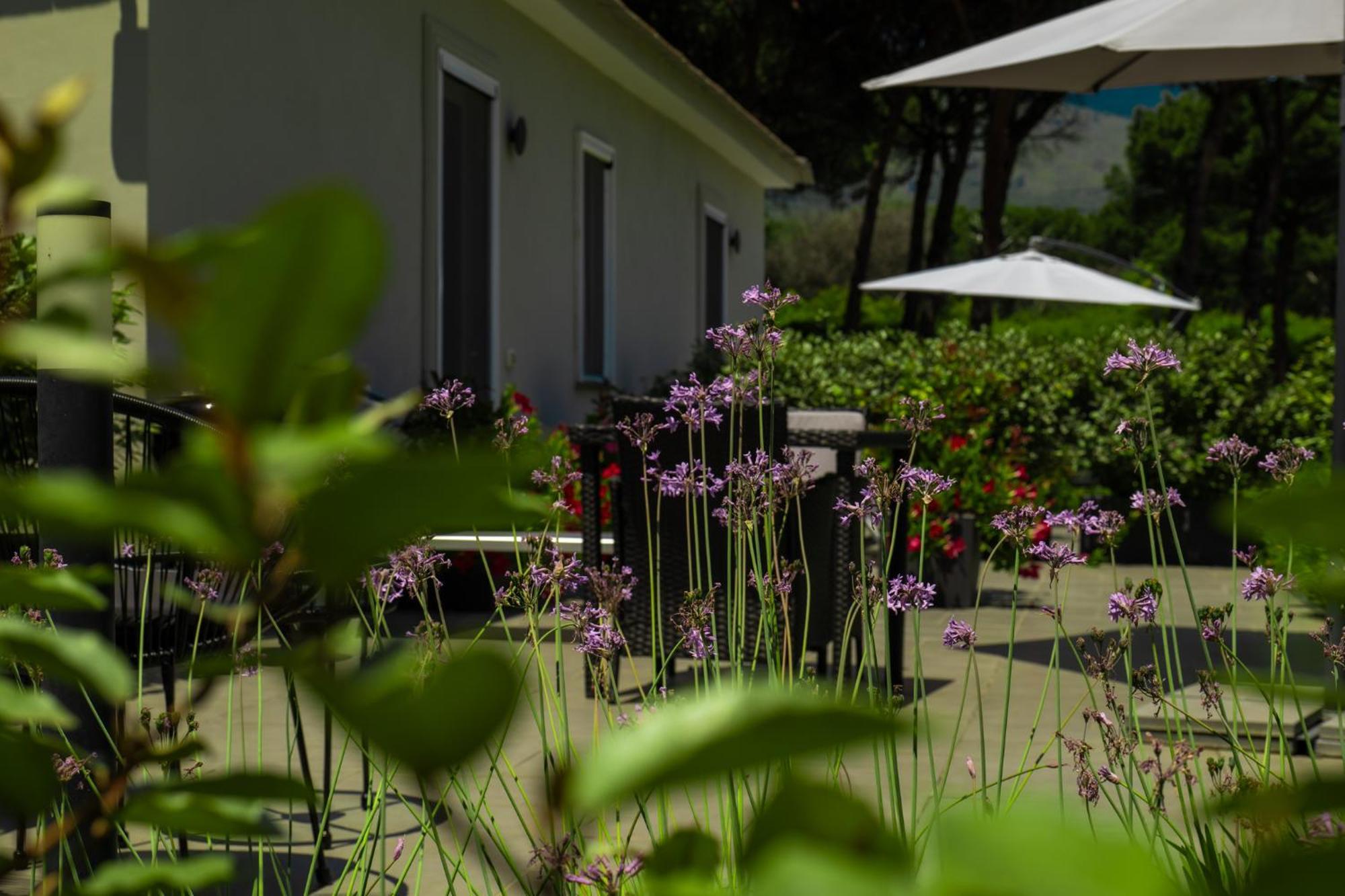 Bed and Breakfast Bosco Mattavona Boscotrecase Exterior foto