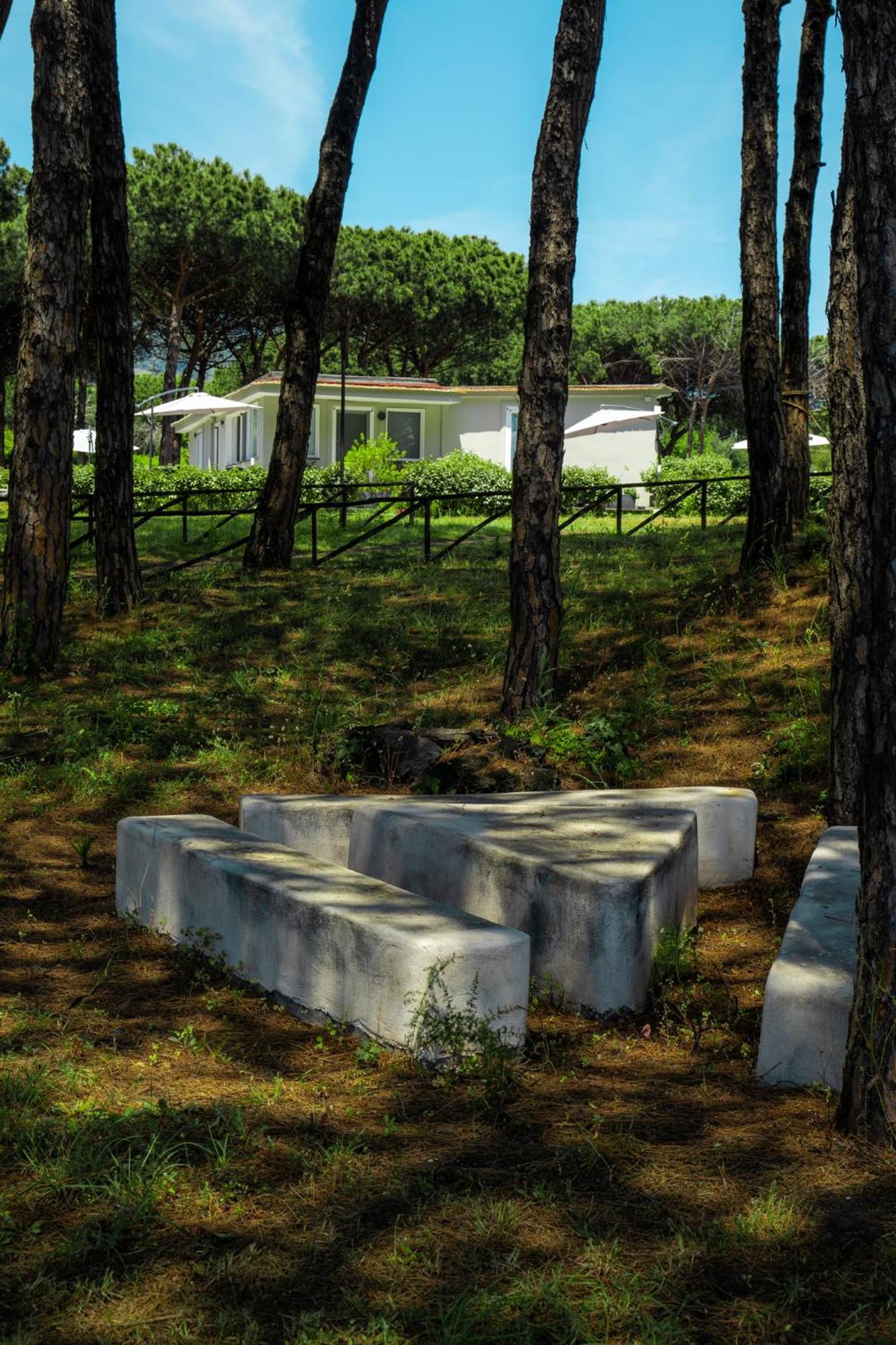 Bed and Breakfast Bosco Mattavona Boscotrecase Exterior foto
