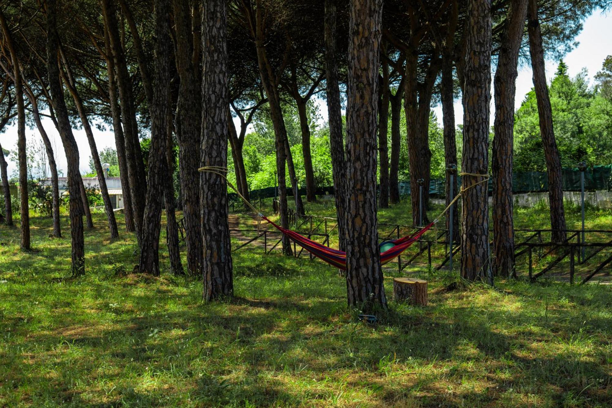 Bed and Breakfast Bosco Mattavona Boscotrecase Exterior foto