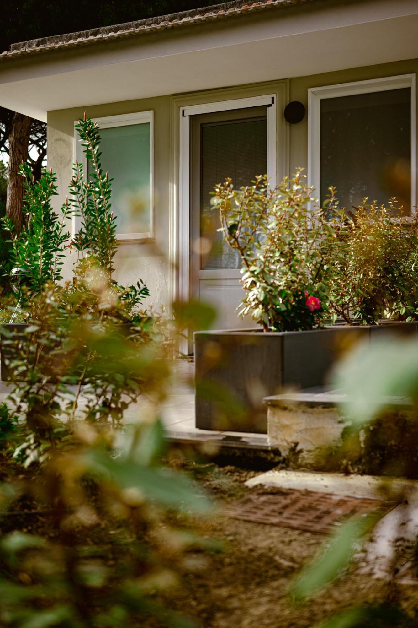 Bed and Breakfast Bosco Mattavona Boscotrecase Exterior foto